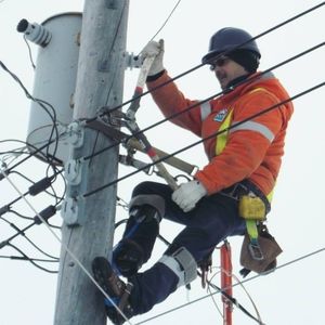 Meet your Posher, Lawrence